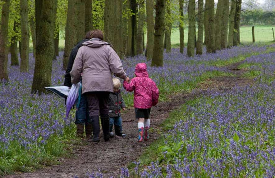 Family walking in blue flower forest with rainboots