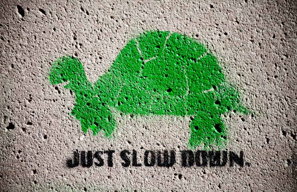 Green Turtle Stencil with Sign Reading Just Slow Down