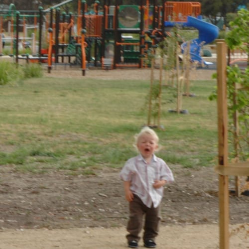 Tantrum
