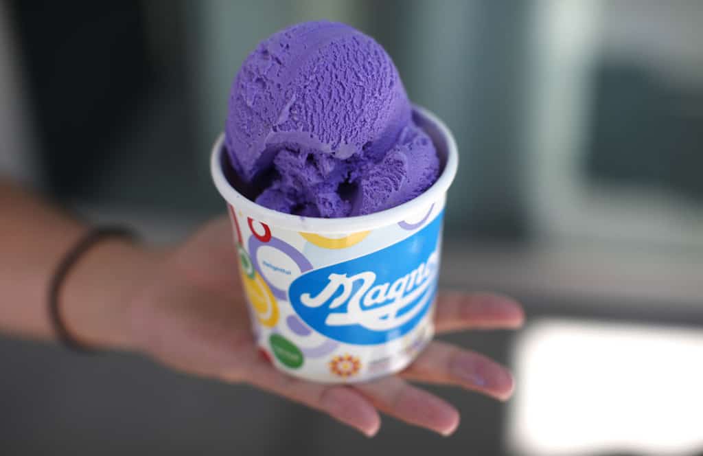 Purple Yam Ube Ice Cream in a Cup
