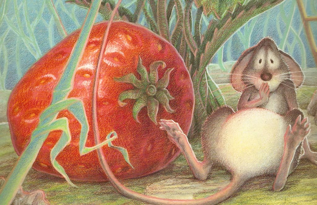 Little Mouse After the Strawberry Falls