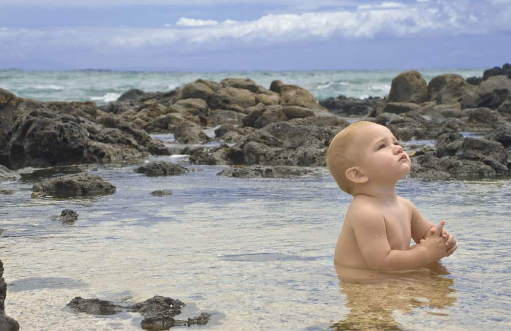 Baby sitting zazen in tidepool