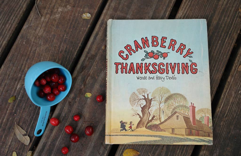 Cranberry Thanksgiving Book Wende Harry Devlin