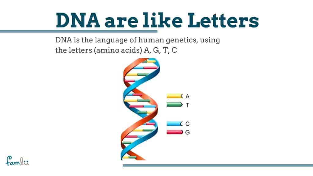 What is DNA graphic