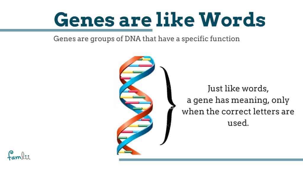 What are genes graphic