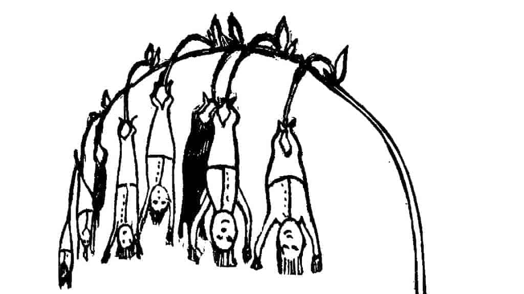 Edward Lear's Nonsense Botany